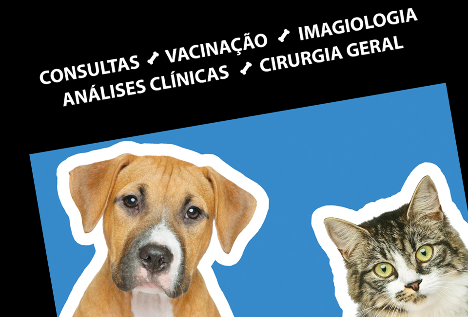 Centro Veterinário
